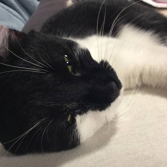 Meet your Posher, Carla - Picture 1 of 1